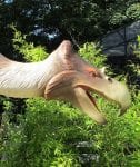 Top 10 dinosaur programmes for children