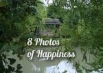 8 Photos of Happiness