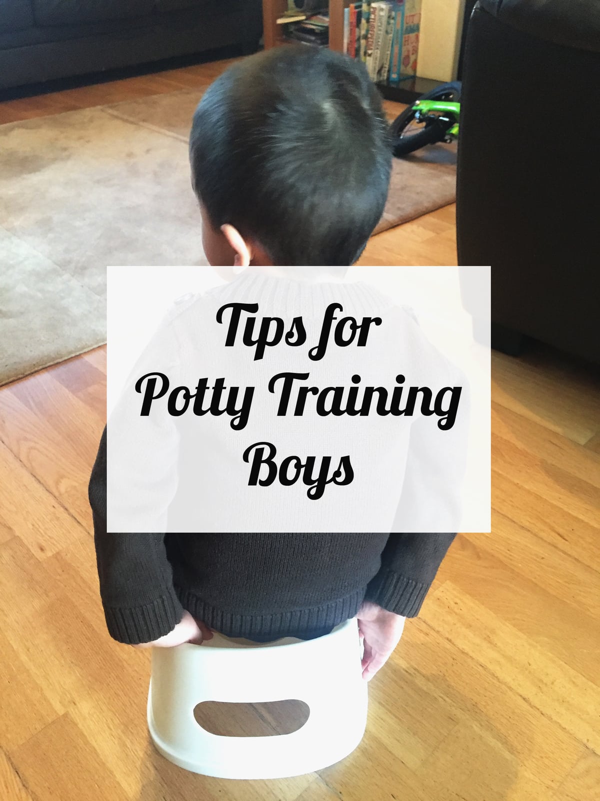 tips-for-potty-training-boys
