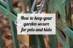 How to keep your garden secure for pets and kids