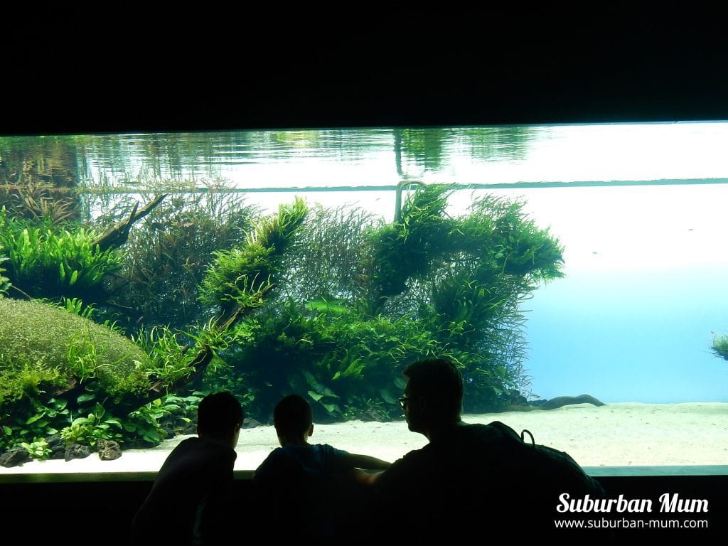 lisbon-aquarium
