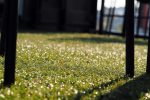The complete guide to artificial grass
