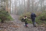 Woodland Family Walks: Tips for having the best experience