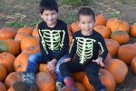 4 places to go Pumpkin Picking in Surrey