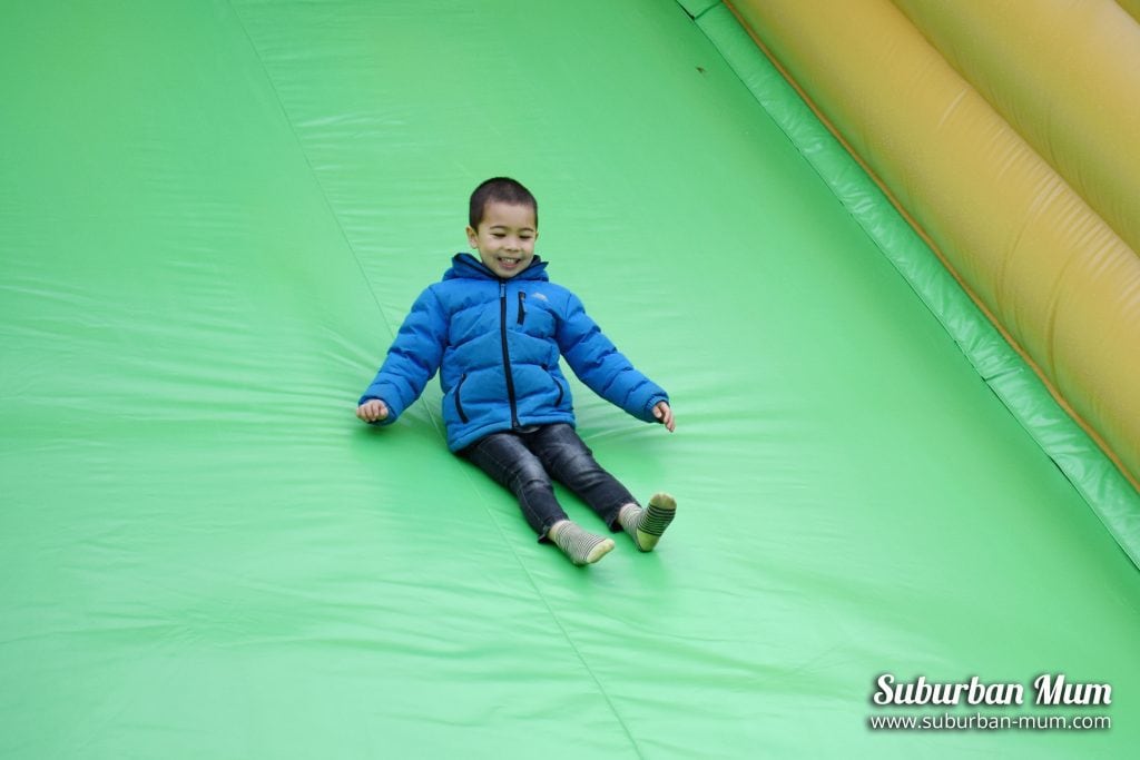 willows-activity-farm-inflatable-slide