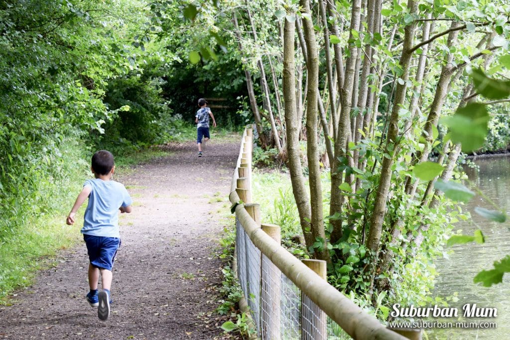 boys-godstone-farm