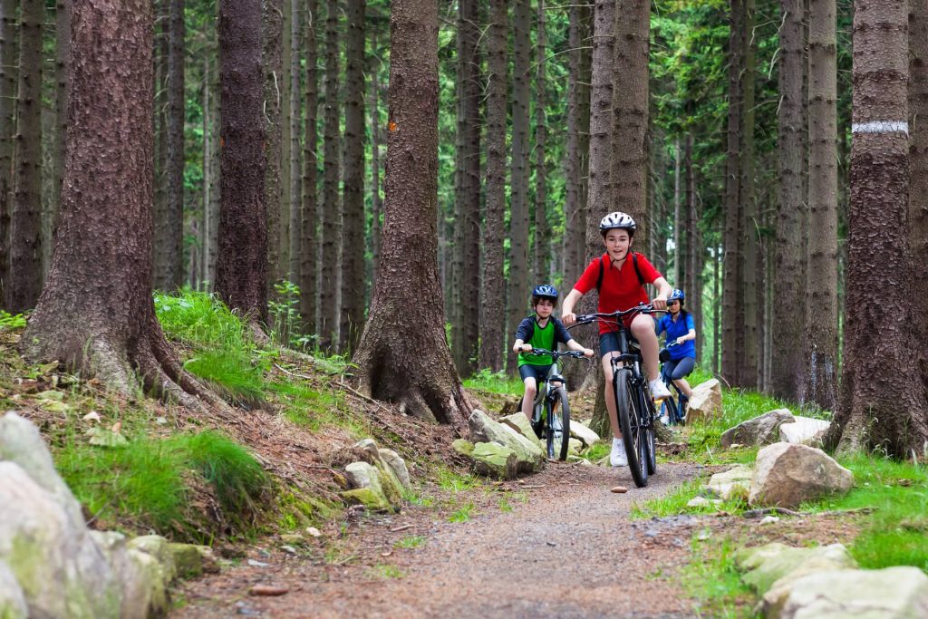 Top tips for mountain biking with kids