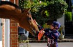 Bank Holiday Family Fun Day at Epsom Downs Racecourse