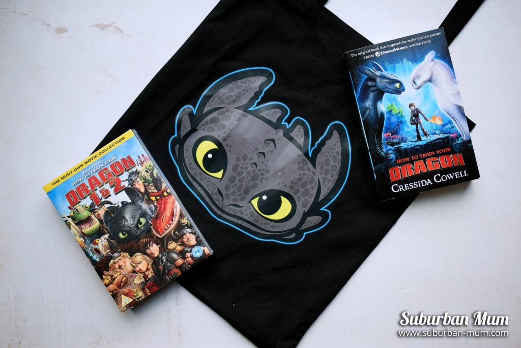 How to Train Your Dragon - goody bag