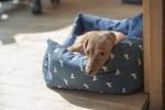 How to choose the best bed for your dog