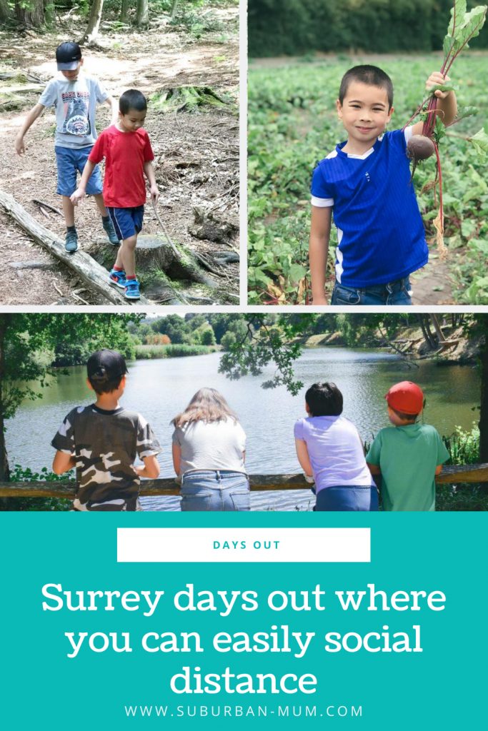 Surrey-days-out-where-you-can-easily-social-distance