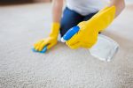 How to clean a carpet from mould?