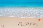 Visiting Florida – all you need to know