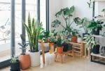 5 ways to make your home eco-friendly