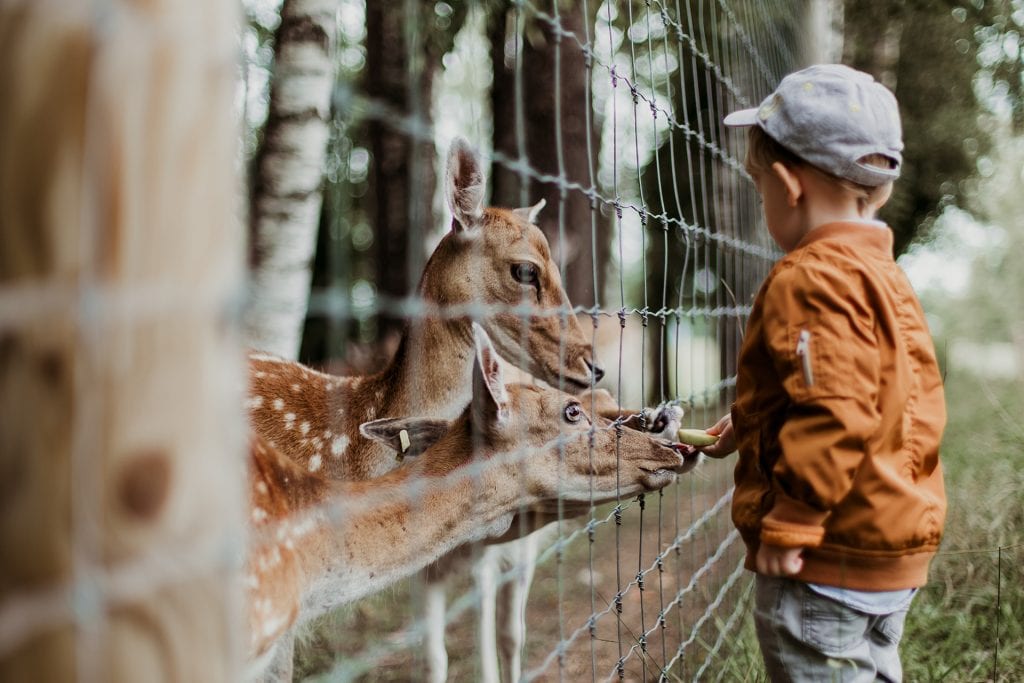 child-at-zoo