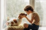 Why you should get a family dog