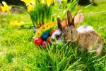 Easter things to do in Surrey