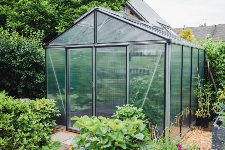 2469ce1d greenhouse in the garden