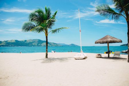 4e38df0a coconut tree on beach