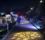 Twilight trail: IGNITE at Polesden Lacey