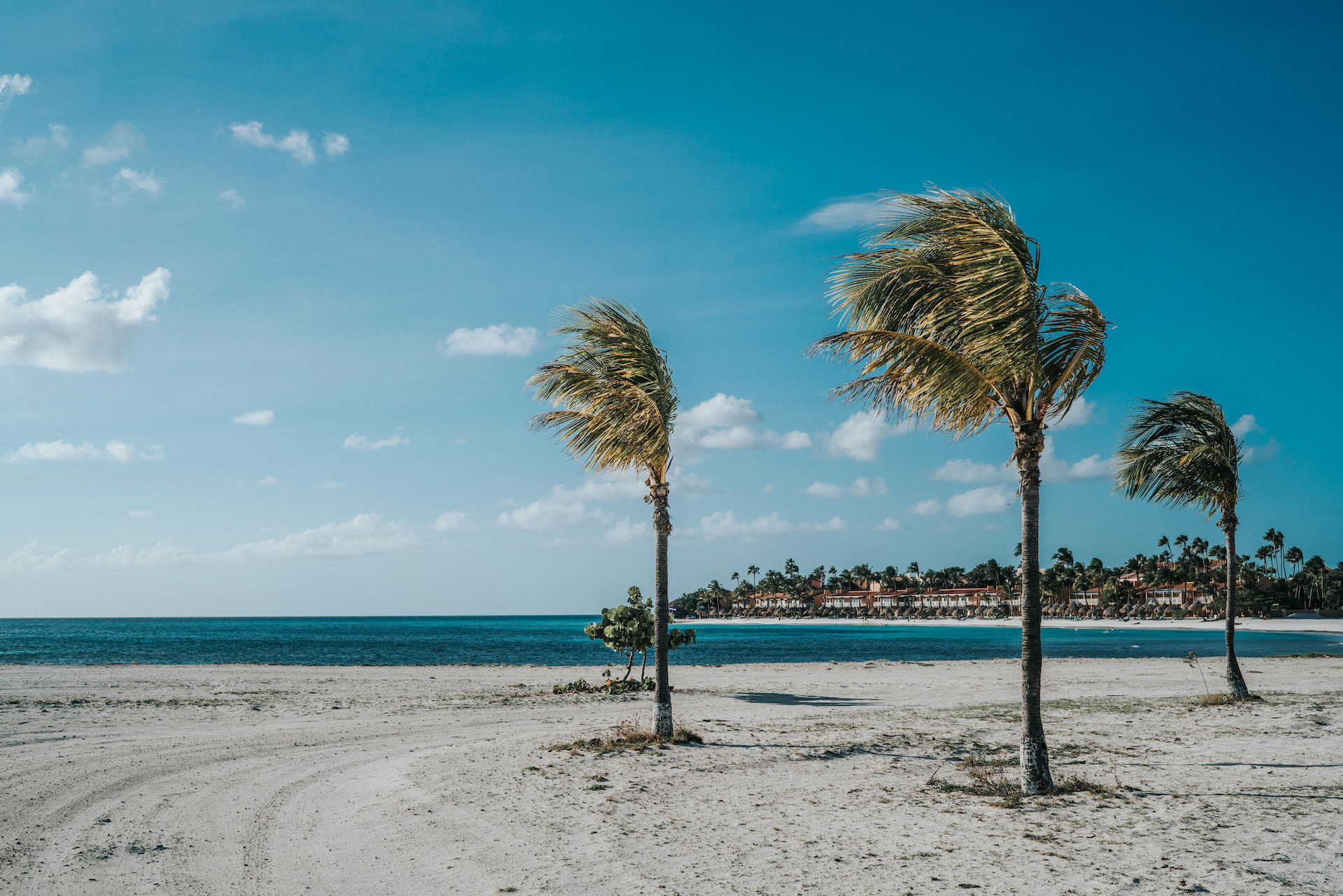 eagle beach aruba