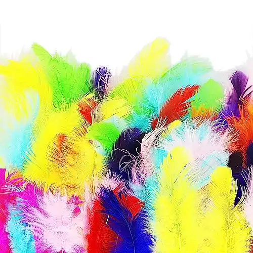 100 Colourful Feathers for Crafts