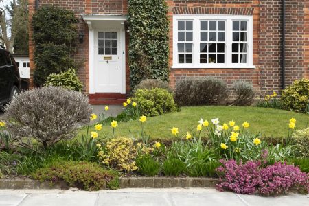 front garden