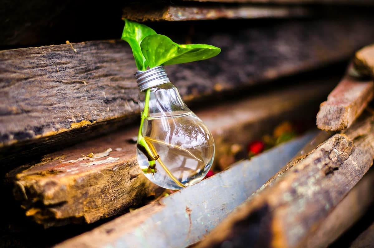 close up of bottle