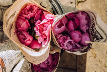 bouquet of flowers