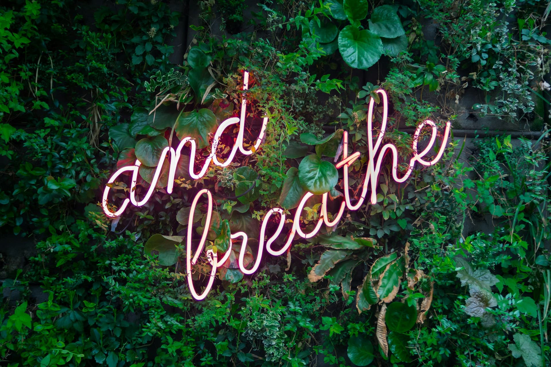 and breathe neon sign