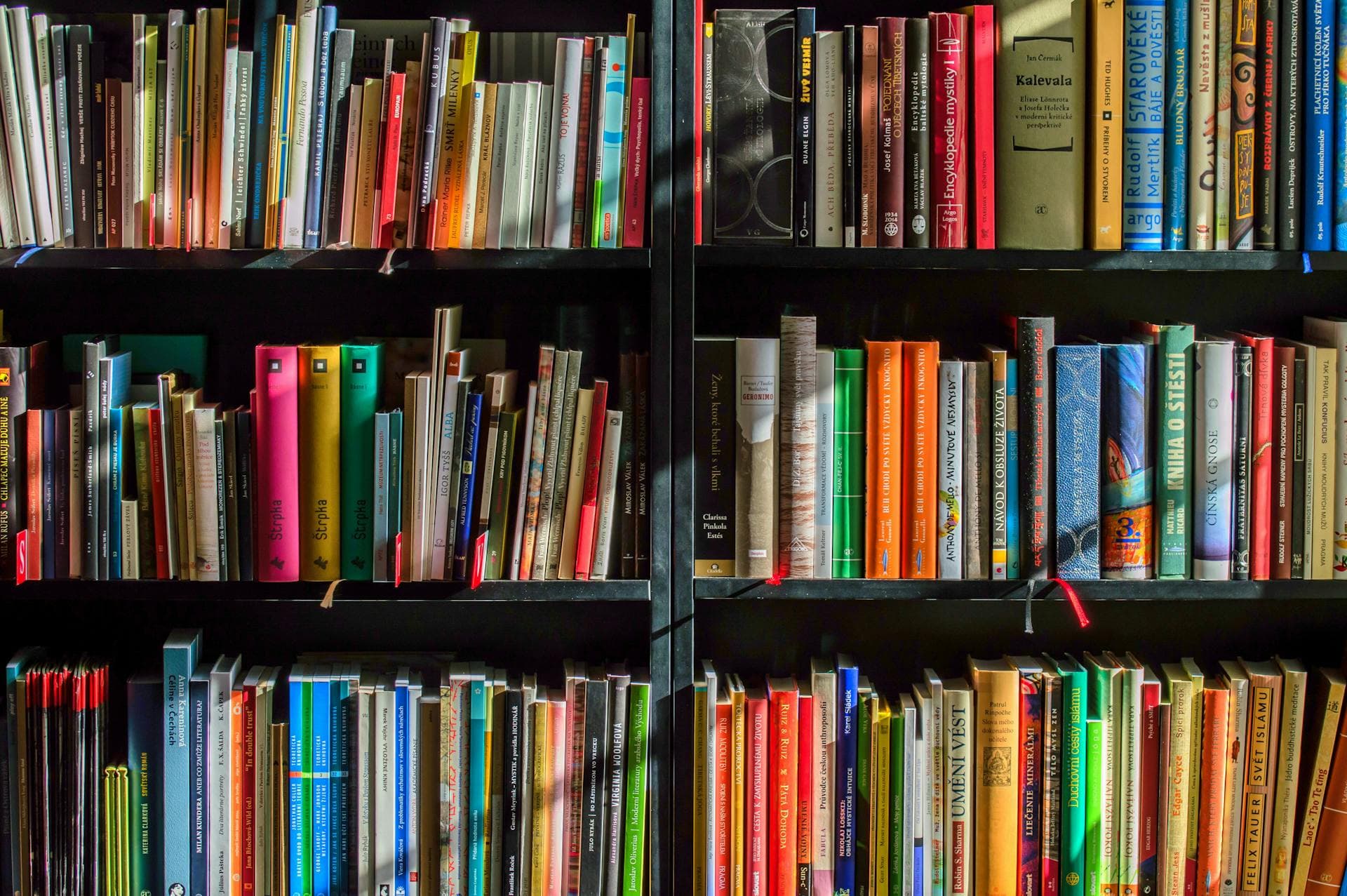 shelves of library books