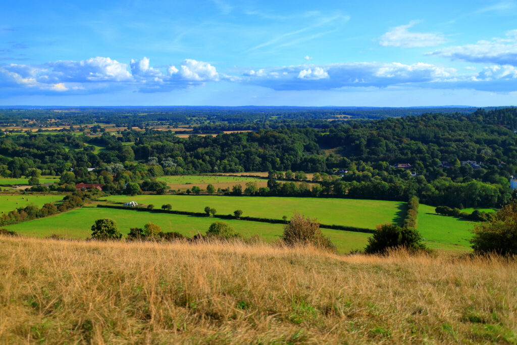 box hill surrey