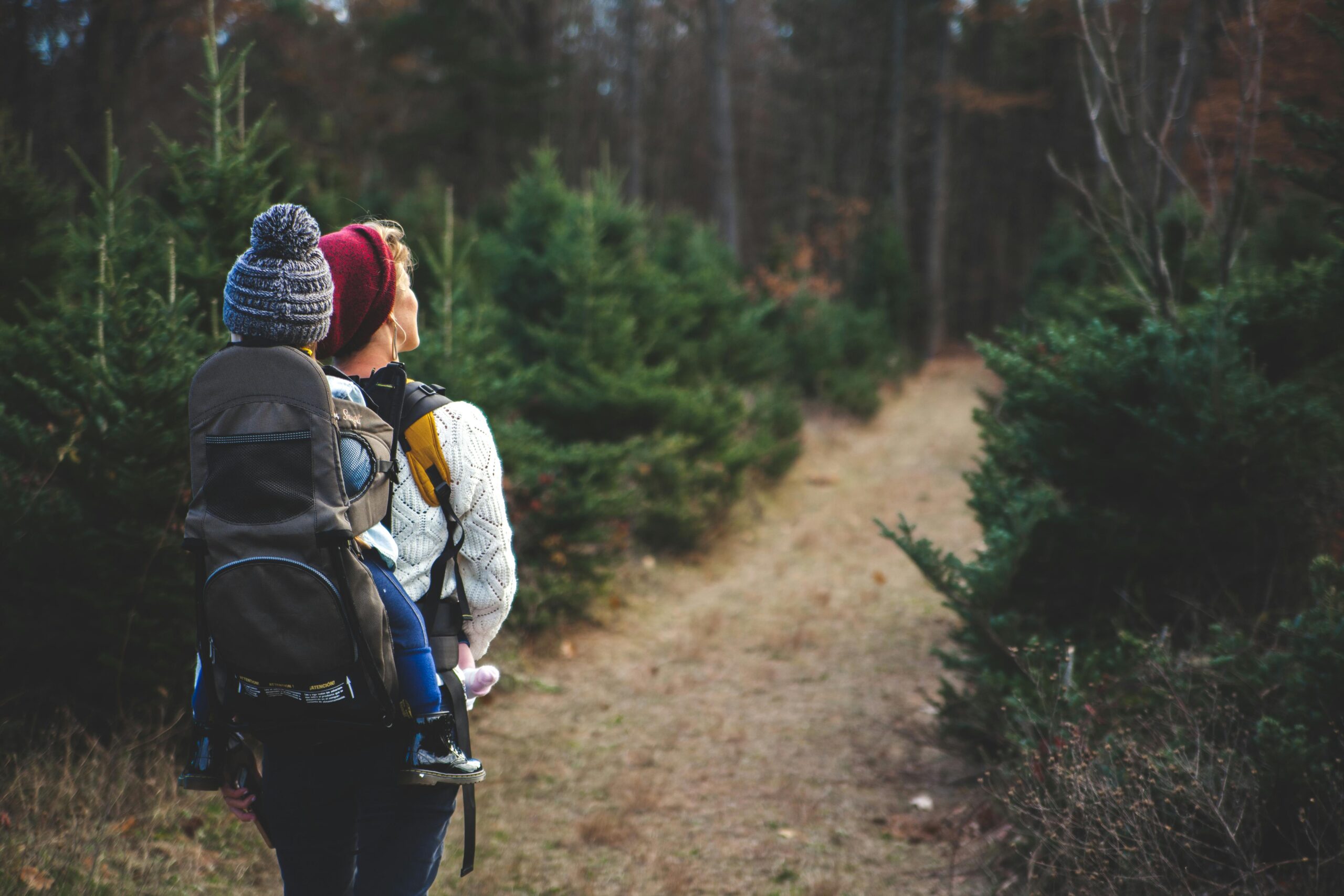 a woman with a young child in a hiking carrier walkign through woodlands