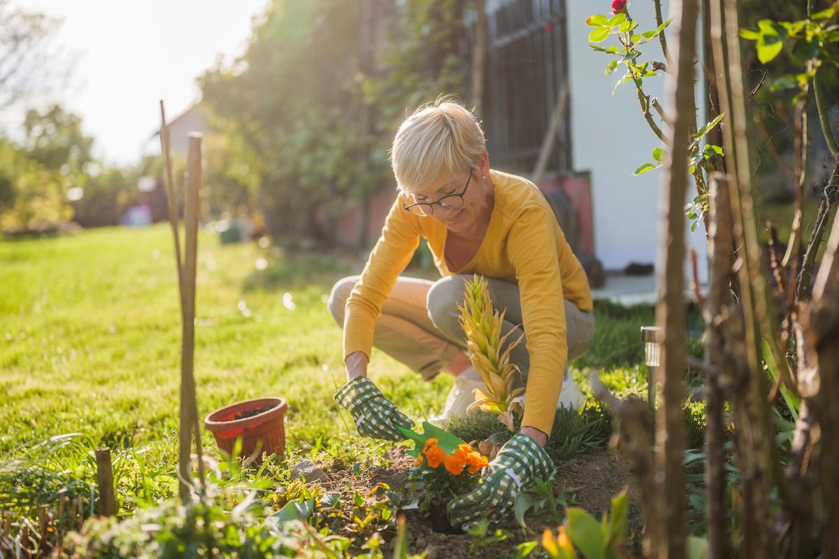 woman gardening