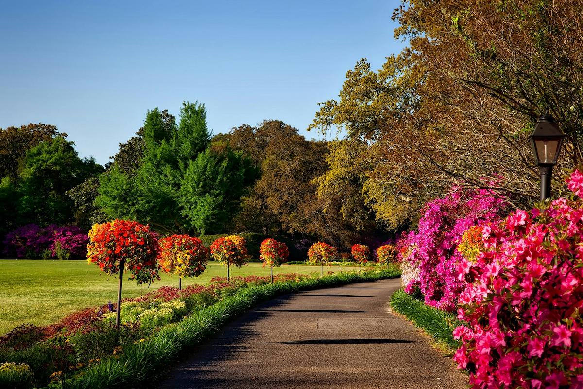 landscape gardens