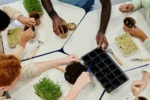 How to Raise an Environmentally Conscious Child