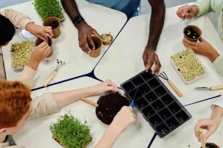 kids planting seeds sustainability activity
