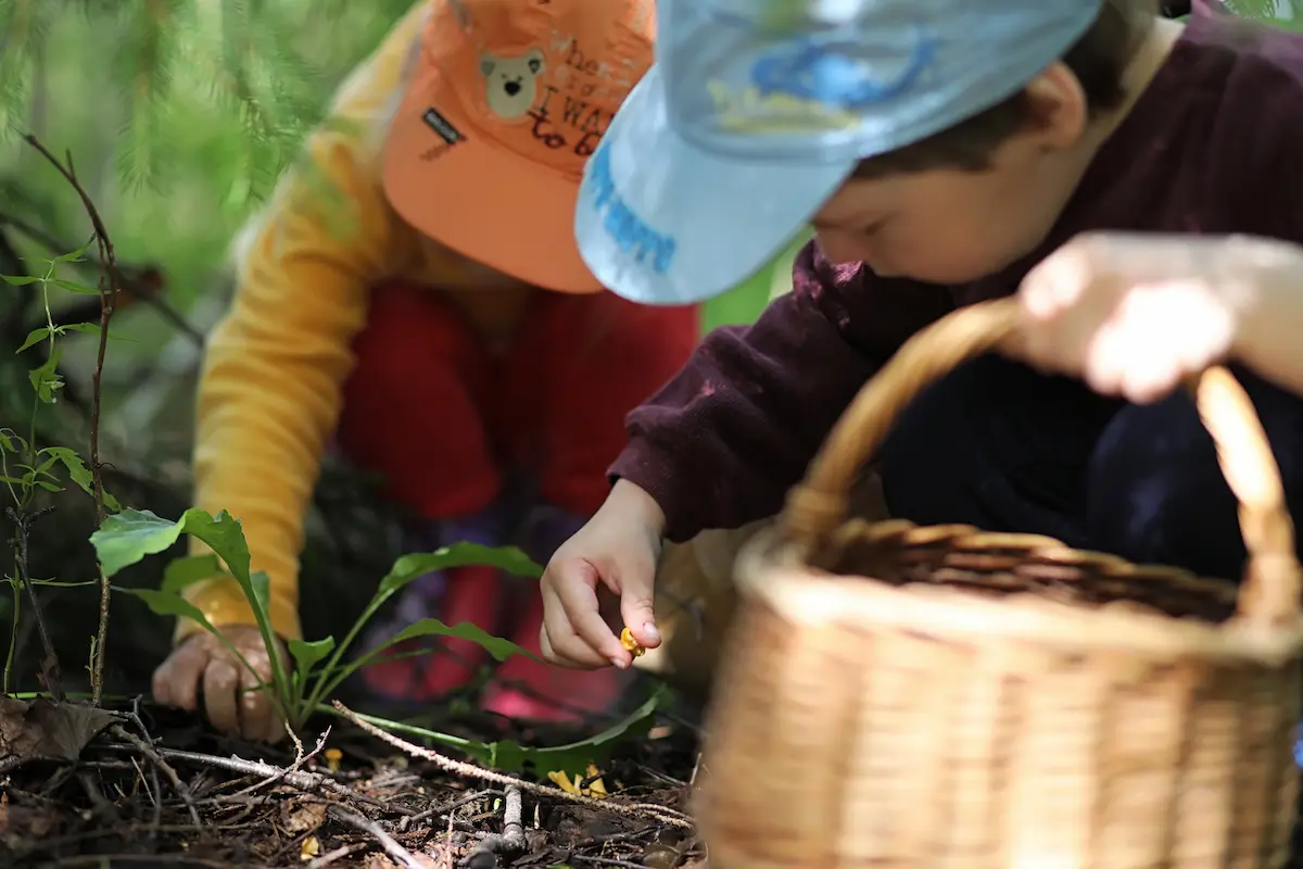 outdoor education children forest school