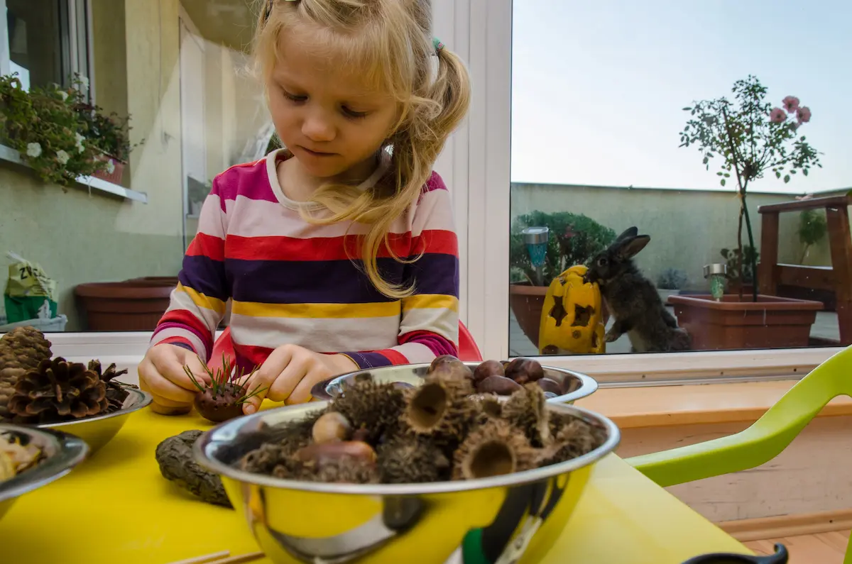 How Children Use Their Senses to Make Sense of the World