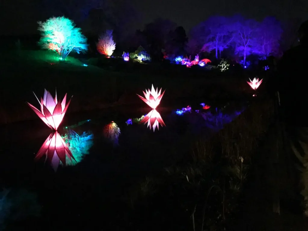 Colourful illuminated trees and light displays at Glow at Wisley